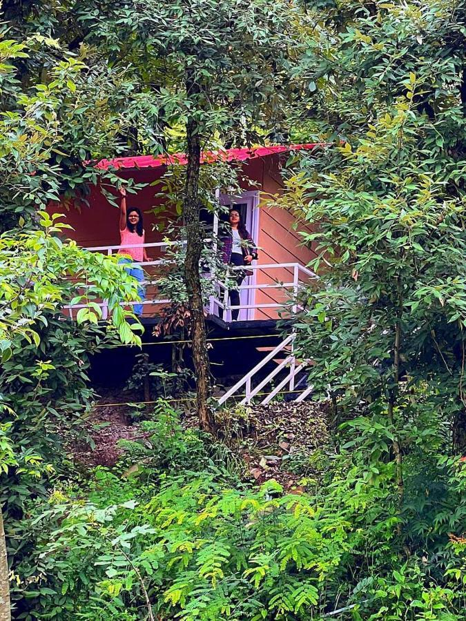 Aamod At Shoghi Luxury Cottage Resort シムラー エクステリア 写真