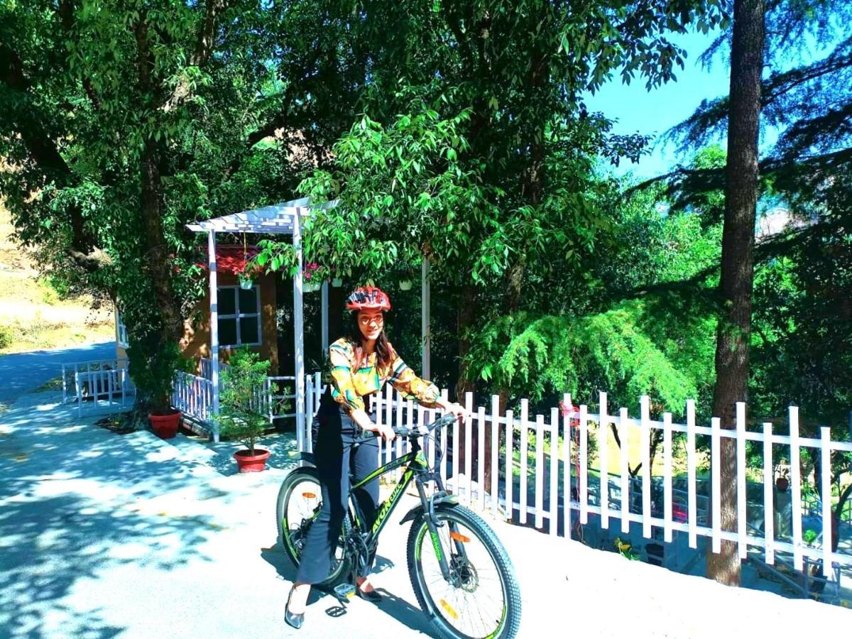 Aamod At Shoghi Luxury Cottage Resort シムラー エクステリア 写真