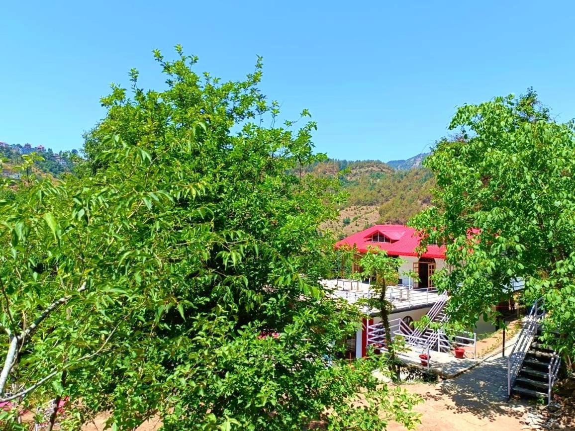 Aamod At Shoghi Luxury Cottage Resort シムラー エクステリア 写真