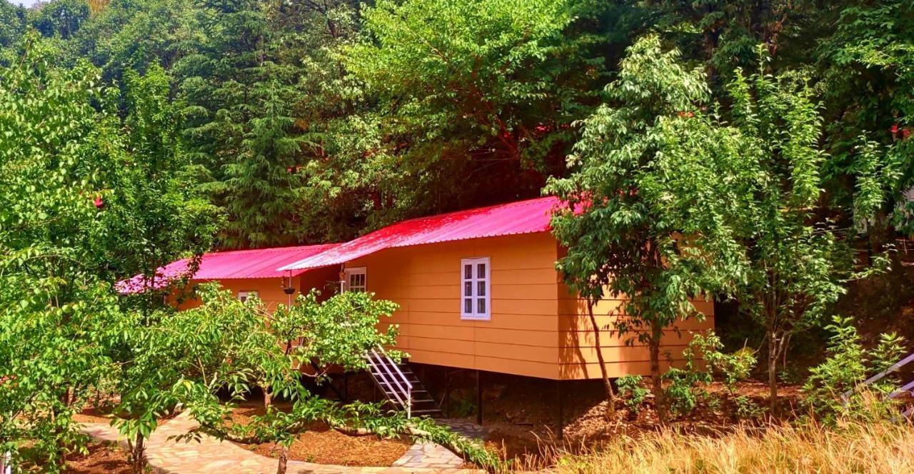 Aamod At Shoghi Luxury Cottage Resort シムラー エクステリア 写真