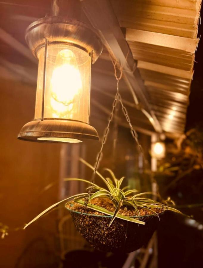 Aamod At Shoghi Luxury Cottage Resort シムラー エクステリア 写真