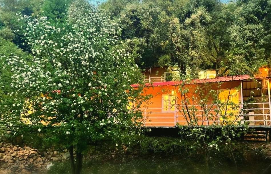 Aamod At Shoghi Luxury Cottage Resort シムラー エクステリア 写真