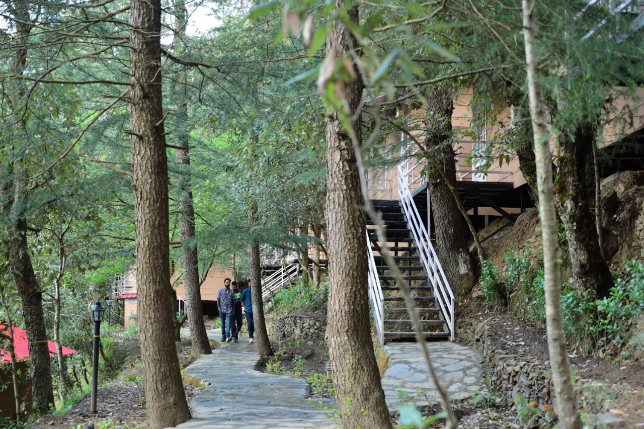 Aamod At Shoghi Luxury Cottage Resort シムラー エクステリア 写真